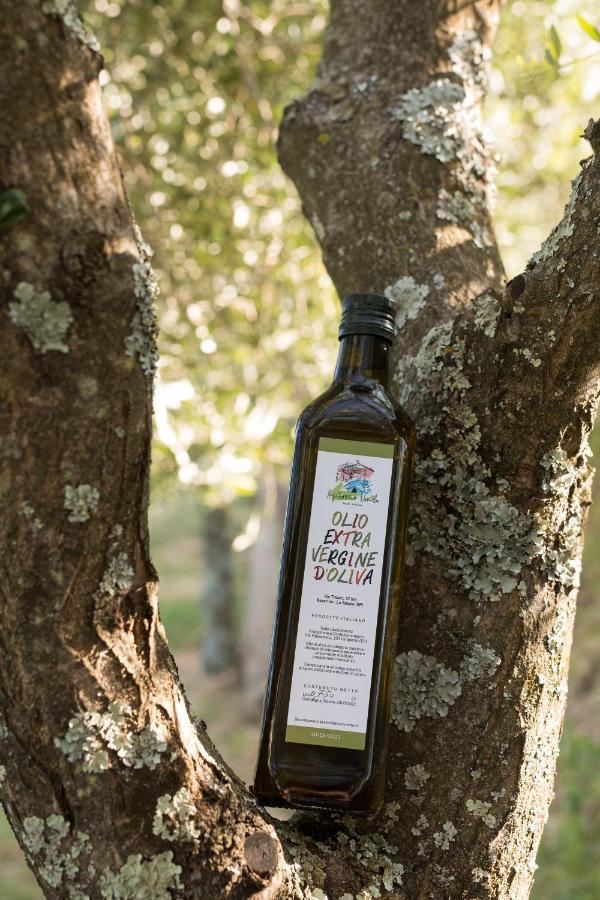 Agriturismo Daniela Bracelli Ngoại thất bức ảnh